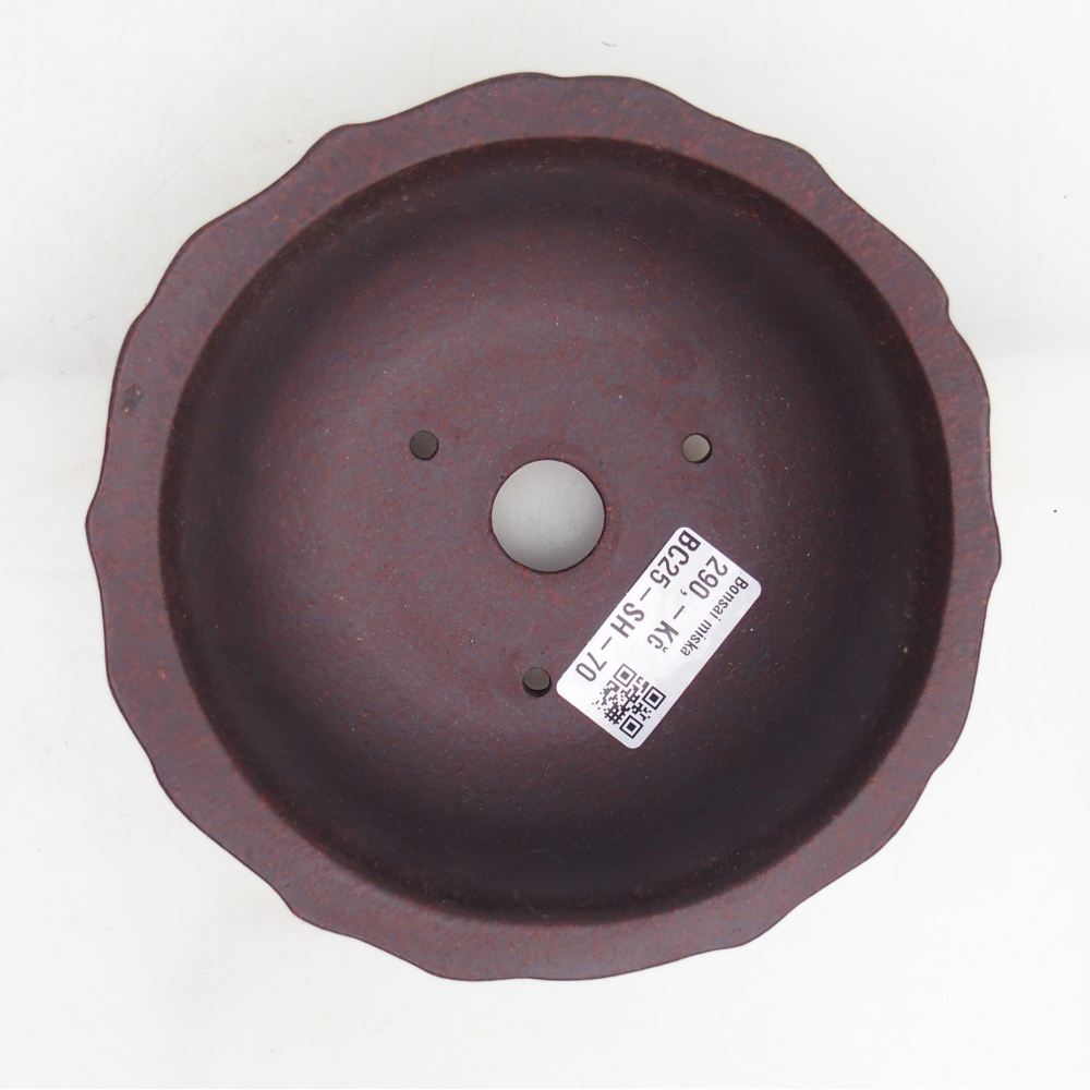 Cuenco bonsái de cerámica 15 x 15 x 6,5 cm, marrón