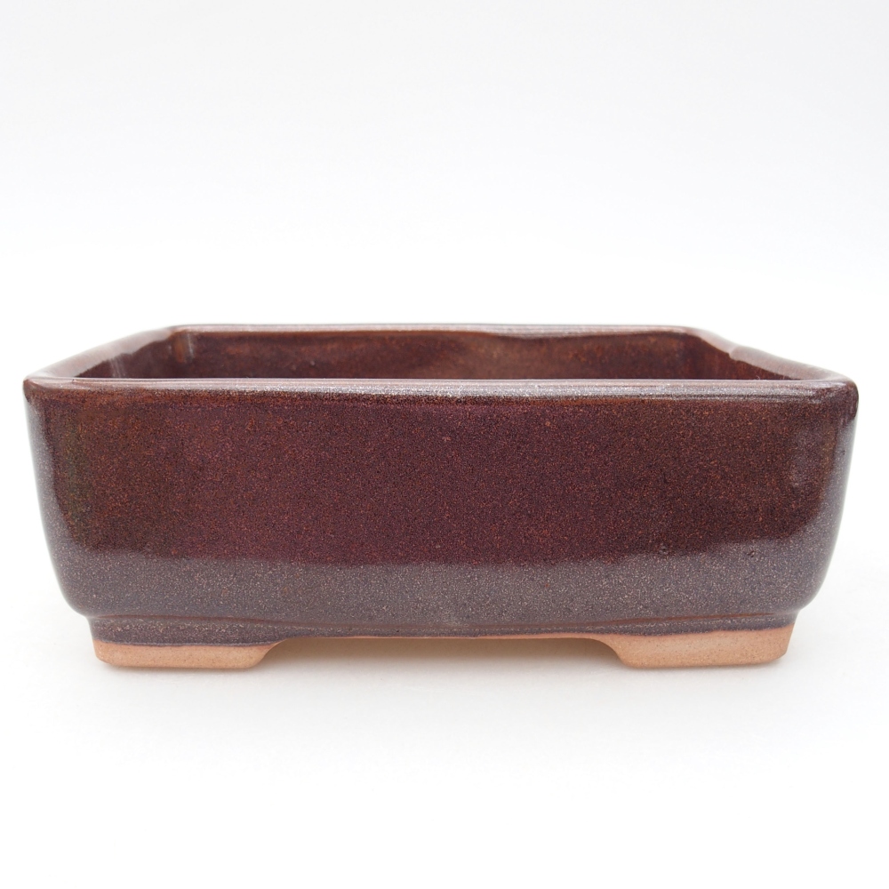 Cuenco bonsái de cerámica 15 x 11 x 5,5 cm, marrón