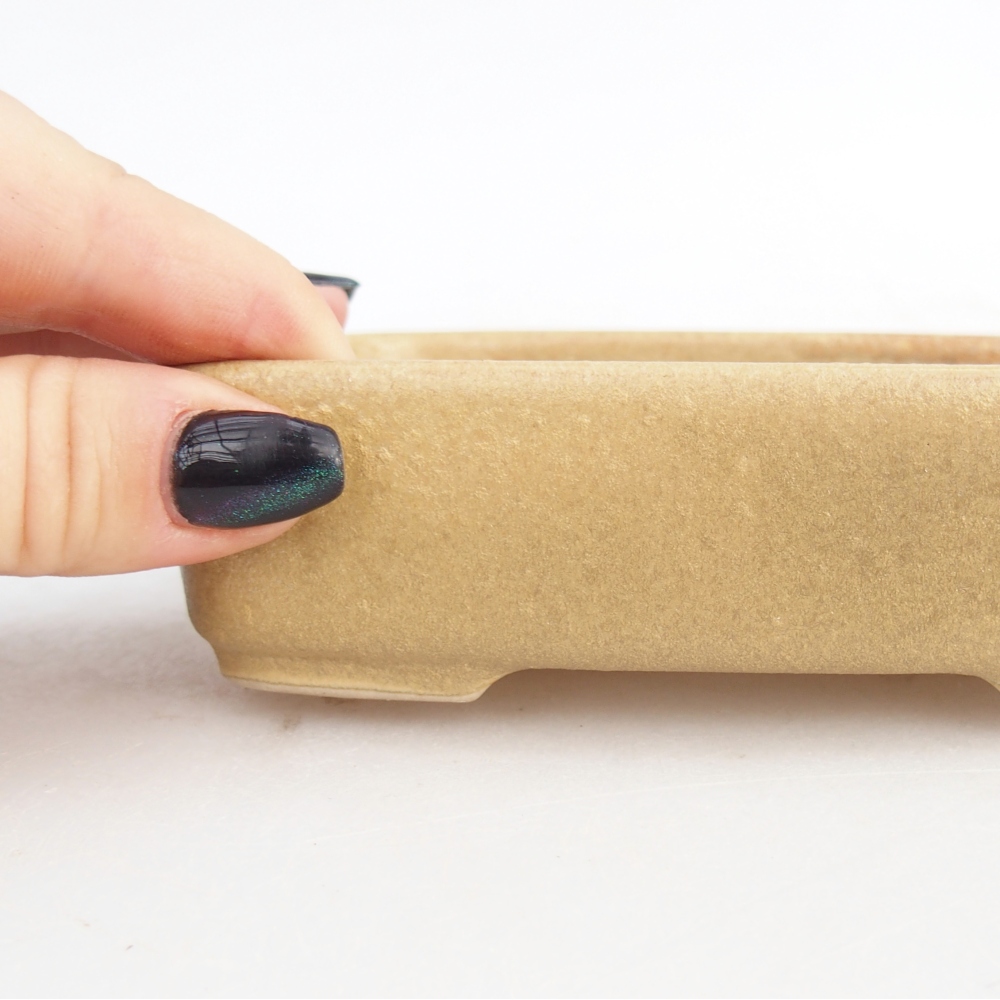 Cuenco bonsái de cerámica 12,5 x 9,5 x 3,5 cm, color beige