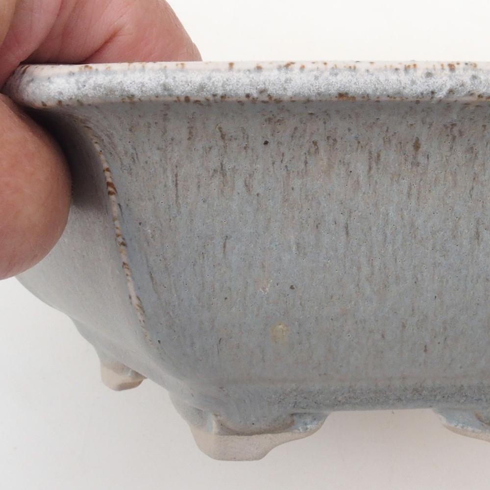 Cuenco bonsái H53 - 19 x 21,5 x 7 cm - beige