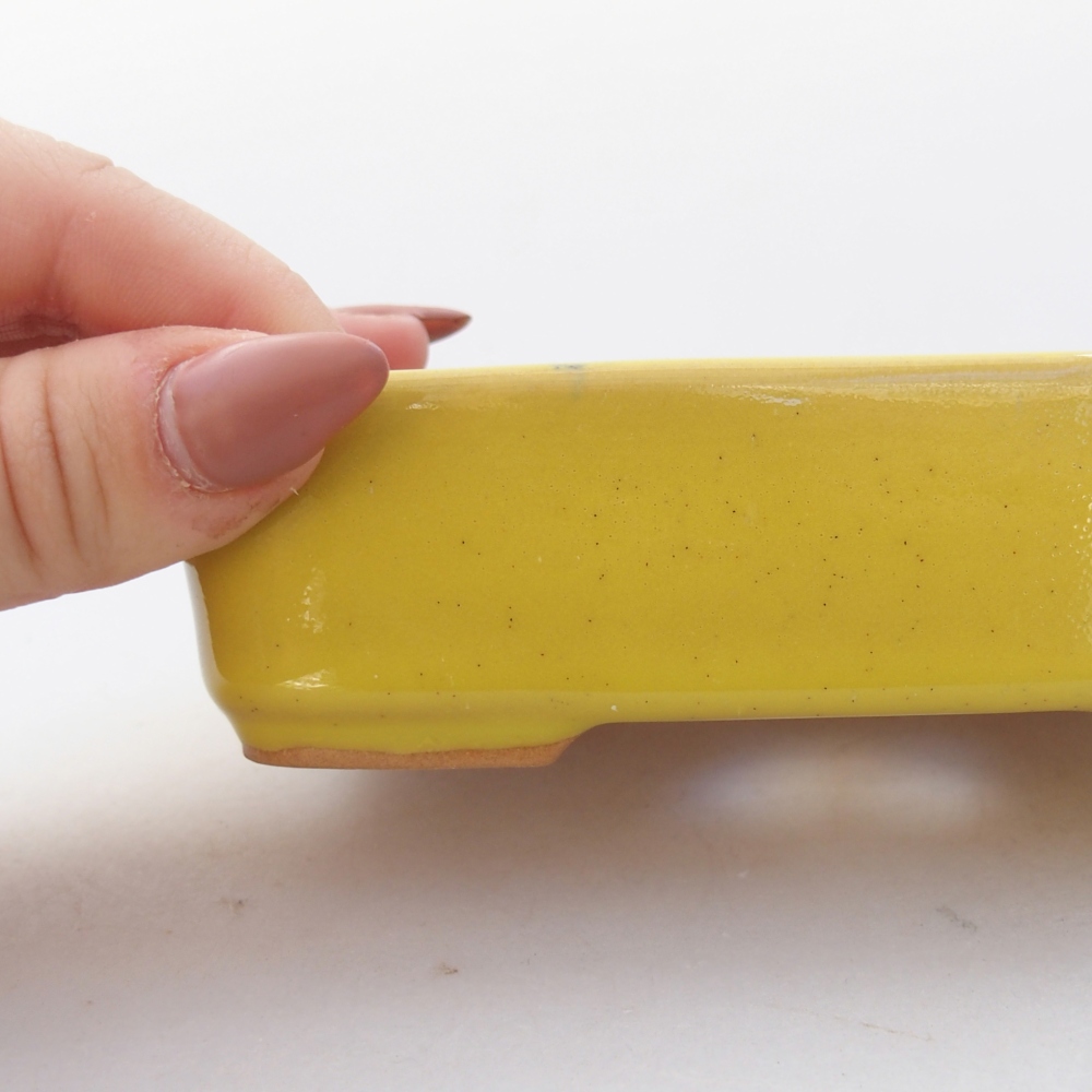 Cuenco bonsái de cerámica 13 x 9,5 x 3,5 cm, amarillo