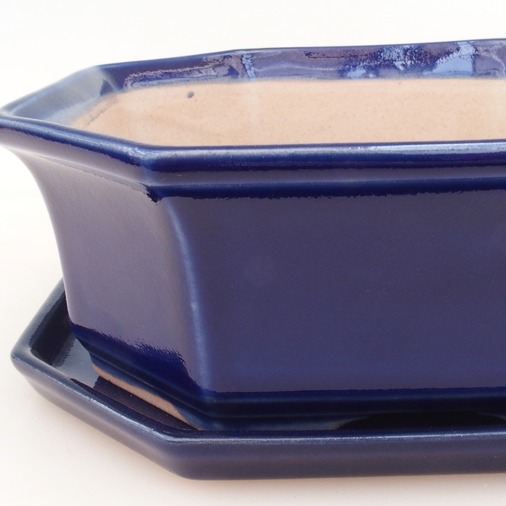 Bonsai cuenco + platillo H14 - azul