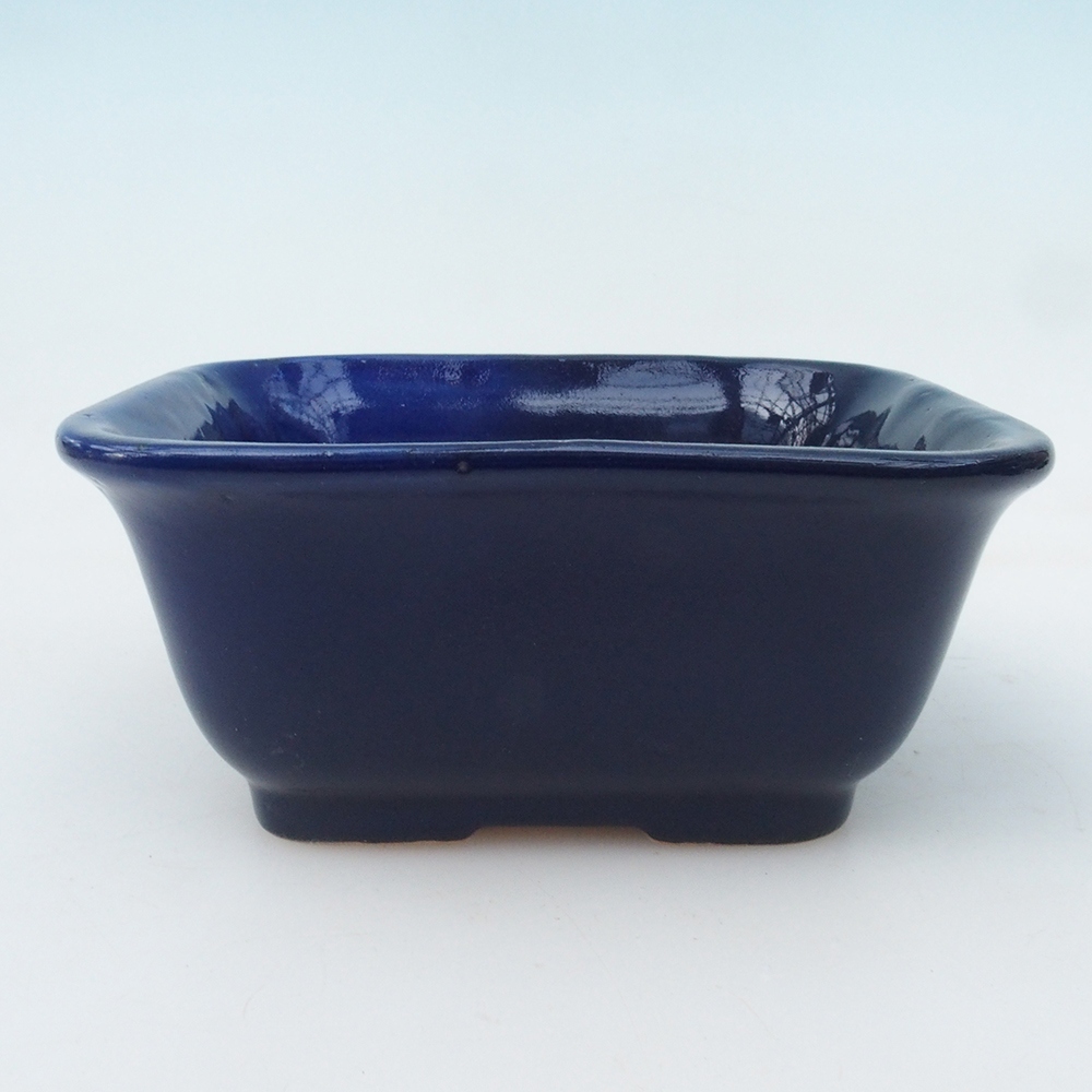 Cuenco bonsái H38 - 12 x 10 x 5,5 cm - azul