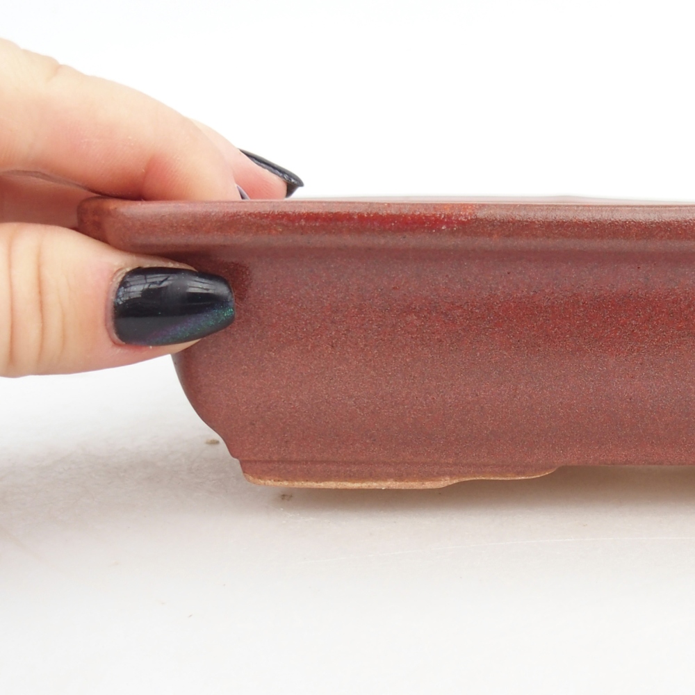 Cuenco bonsái de cerámica 18 x 13,5 x 4,5 cm, burdeos