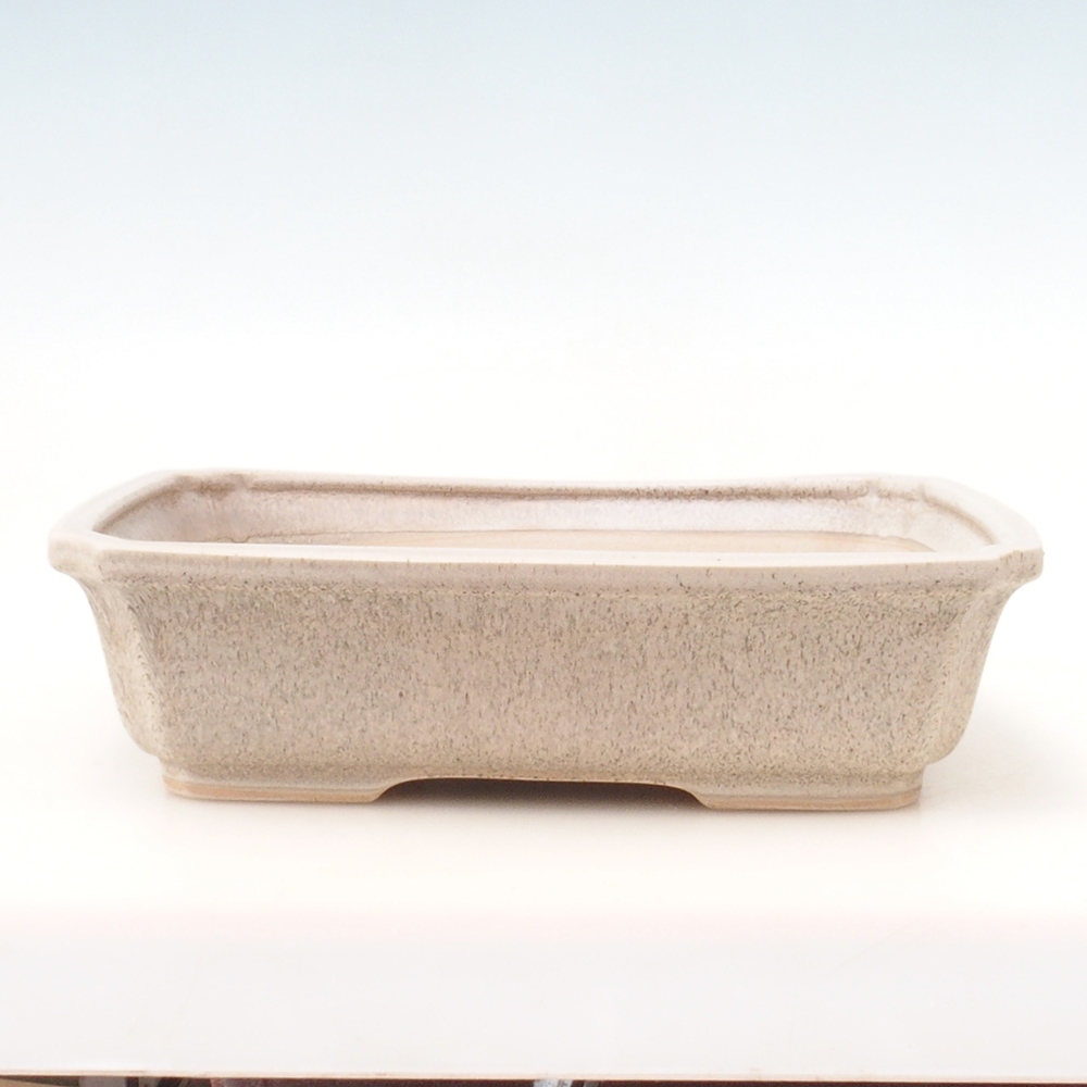 Cuenco bonsai + platillo H07 - 30 x 20,5 x 8 cm - beige