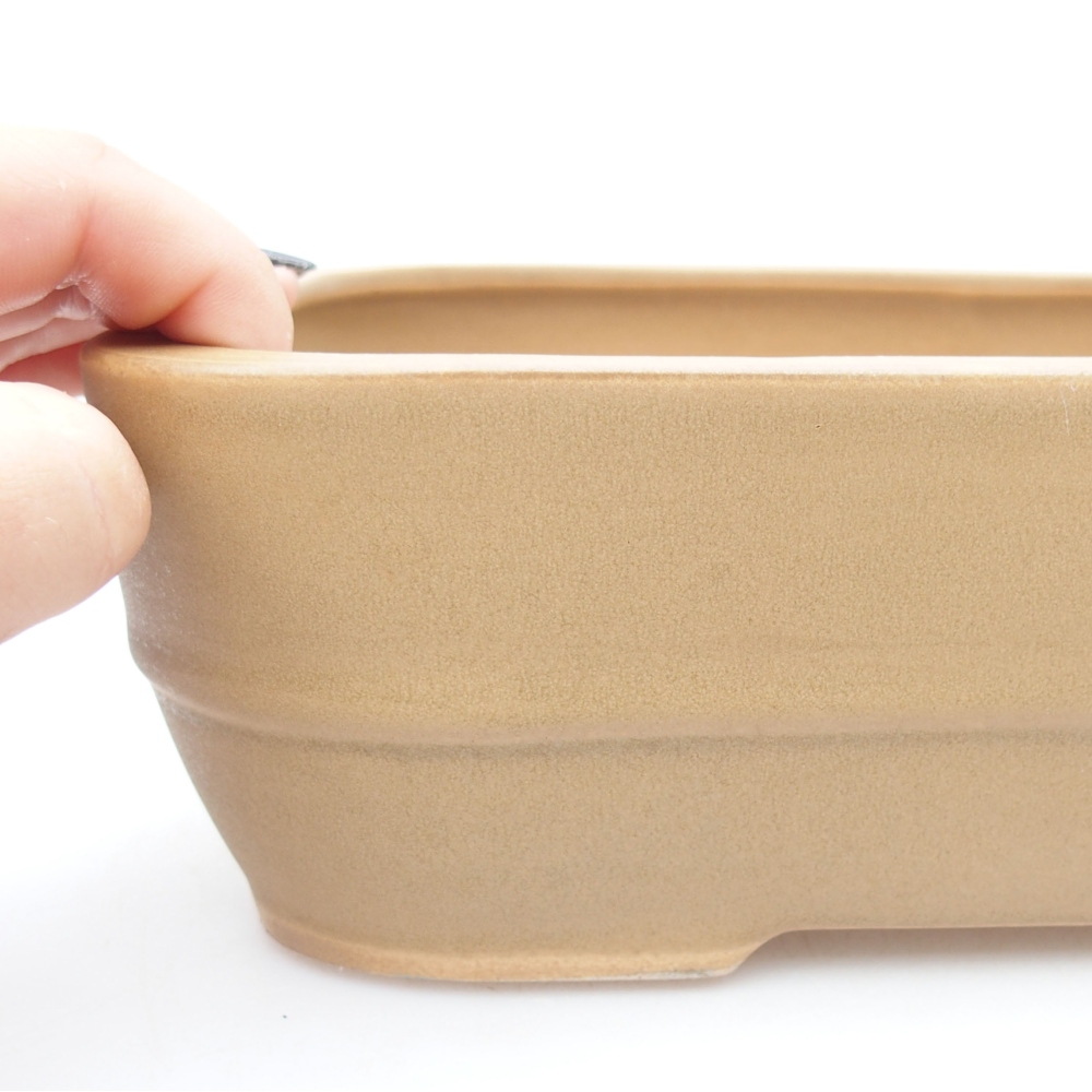Cuenco bonsái de cerámica 28 x 21 x 7,5 cm, color beige