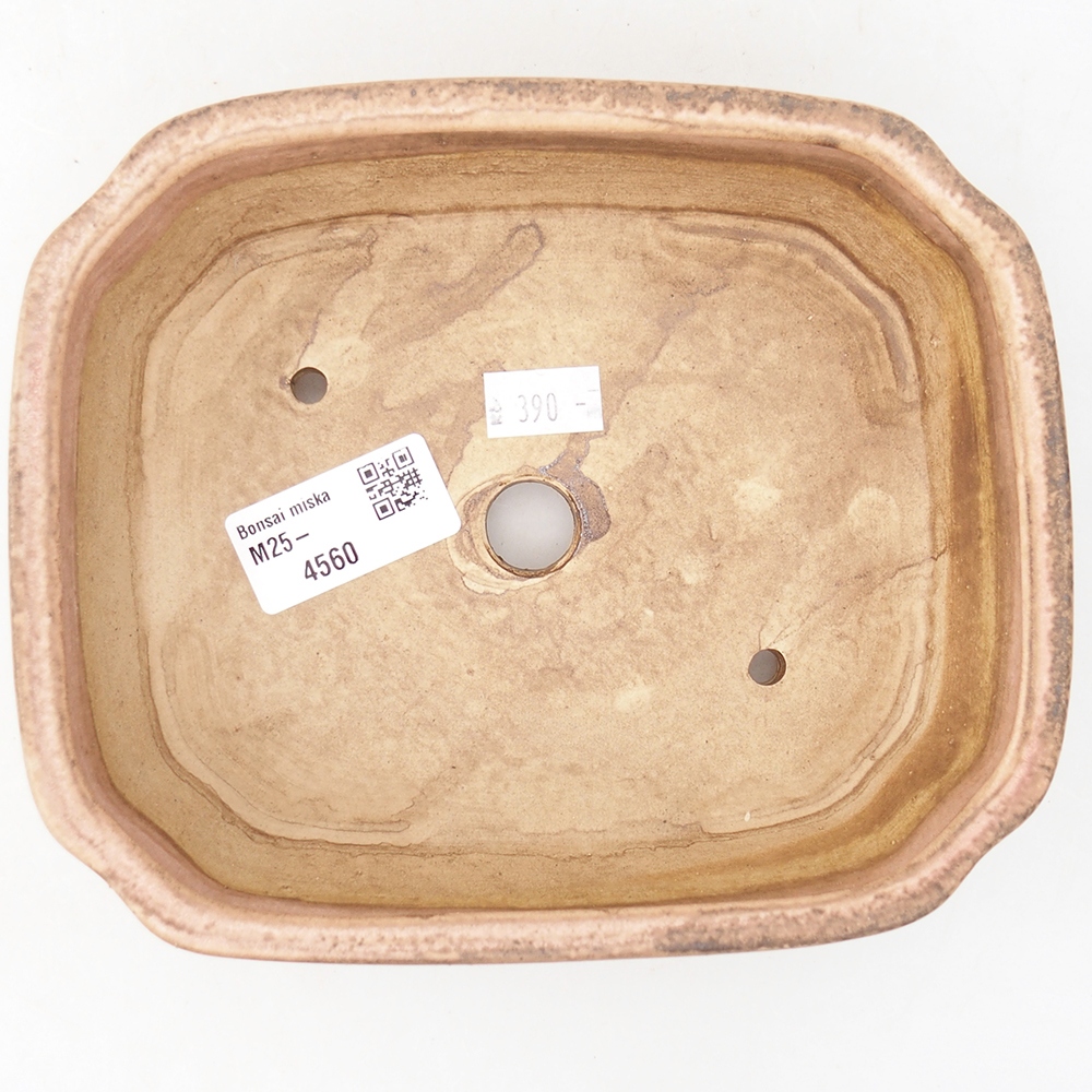 Cuenco bonsái de cerámica 17 x 14,5 x 5 cm, rosa