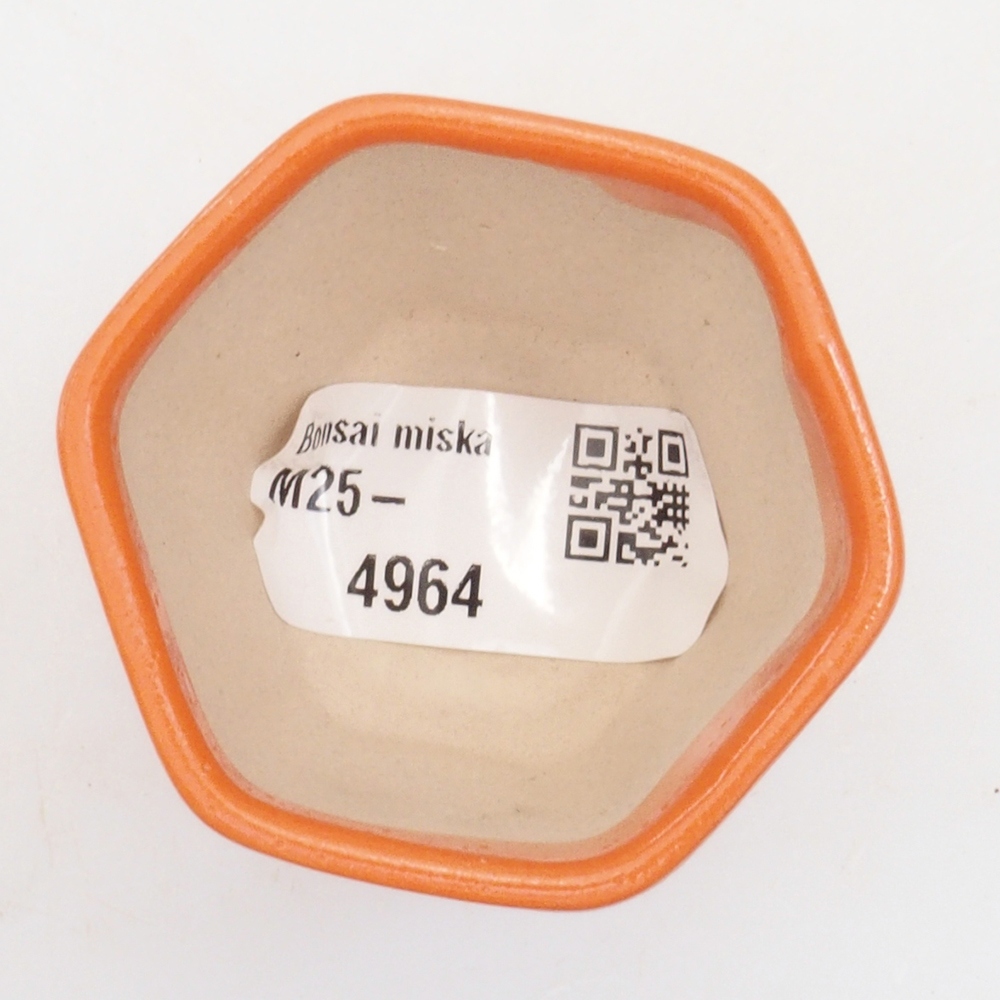 Mini cuenco bonsái 5 x 5 x 5 cm, naranja