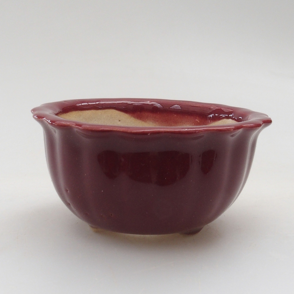 Cuenco mini bonsái 6,5 x 6,5 x 3,5 cm, burdeos