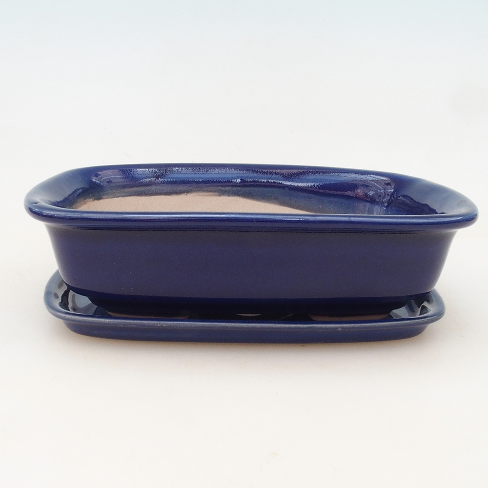 Cuenco bonsai + platillo H02 - azul