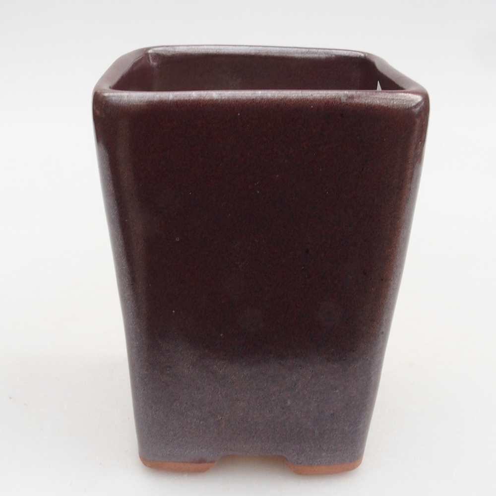 Cuenco bonsái de cerámica 8 x 8 x 10 cm, marrón