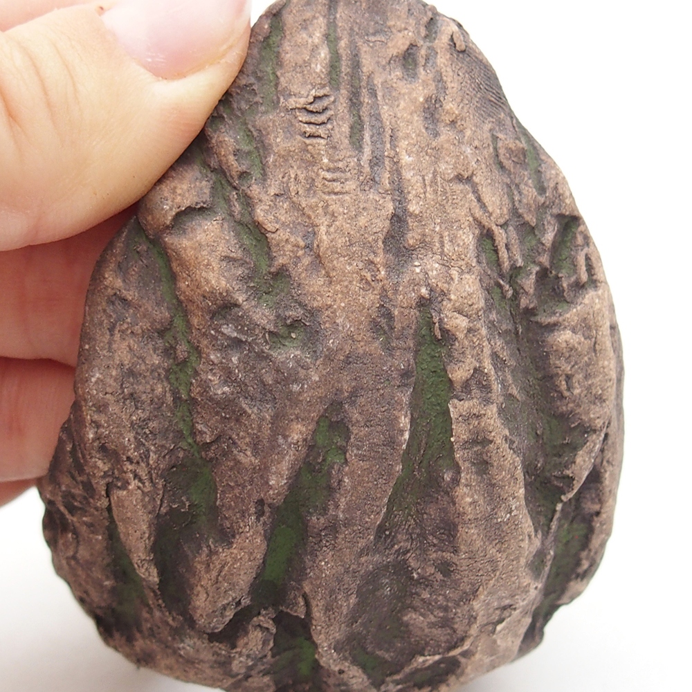 Concha de cerámica 8 x 5,5 x 7 cm , color verde