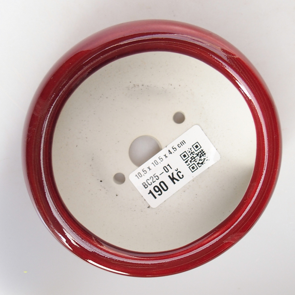 Cuenco bonsái de cerámica 10,5 x 10,5 x 4,5 cm, color rojo