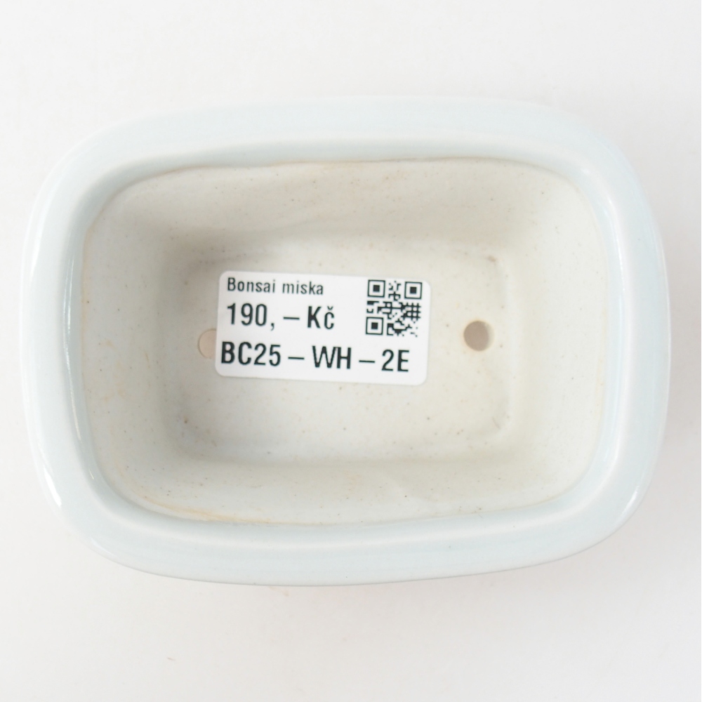 Cuenco mini bonsái 10 x 7,5 x 4 cm, color blanco