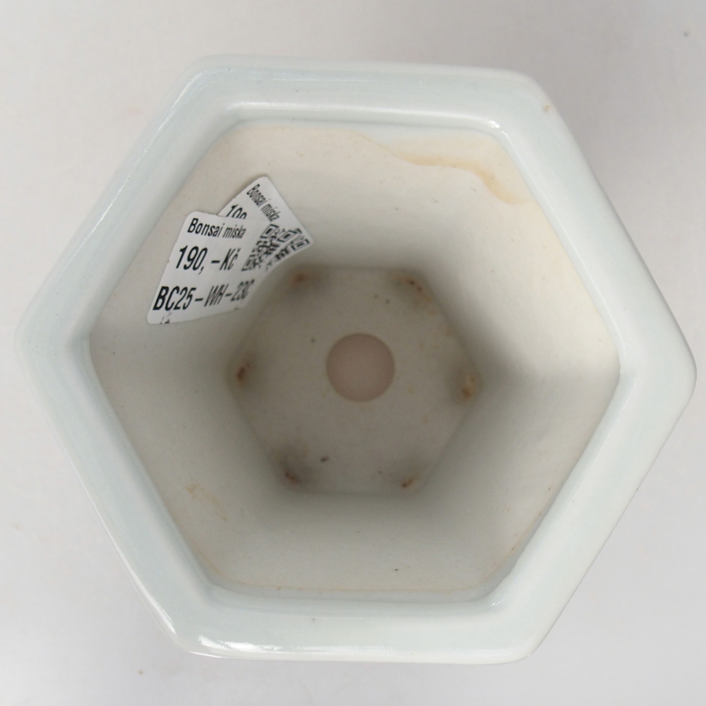 Cuenco bonsái de cerámica 10 x 9 x 9 cm, color blanco