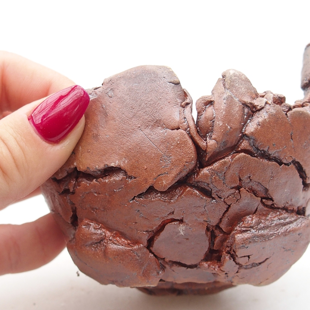 Concha de cerámica 10 x 9 x 7 cm , color marrón