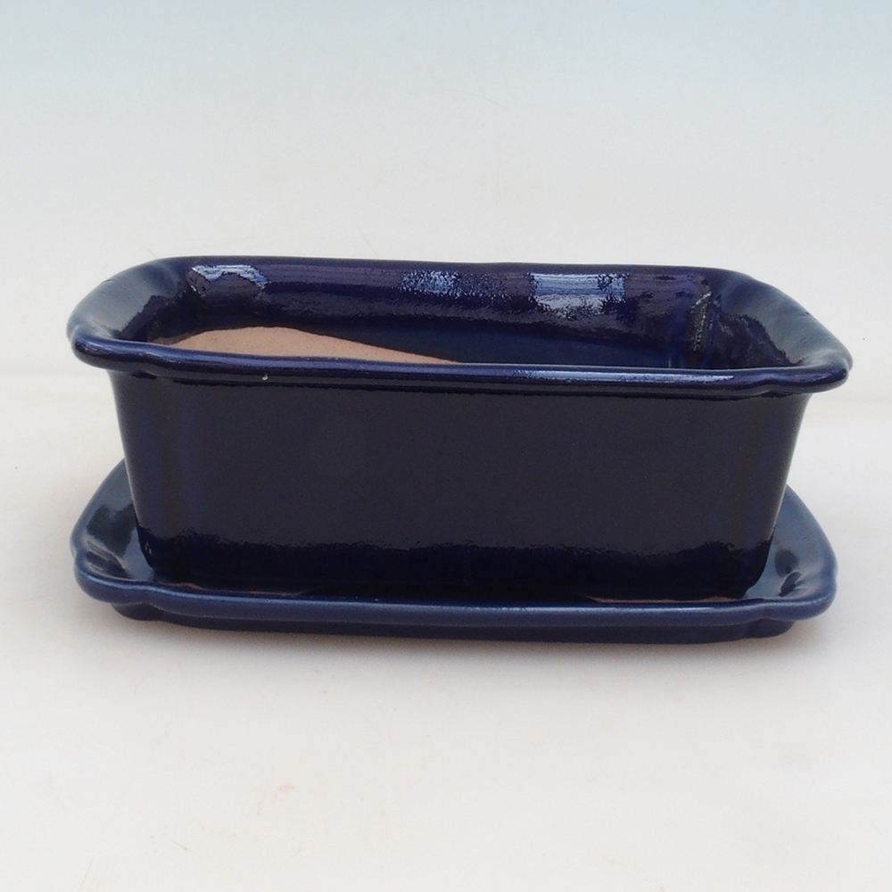 Bonsai cuenco + platillo H50 - azul