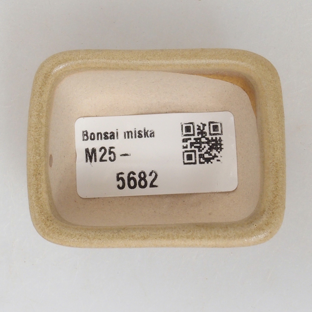 Cuenco mini bonsái 5,5 x 4,5 x 2,5 cm, marrón