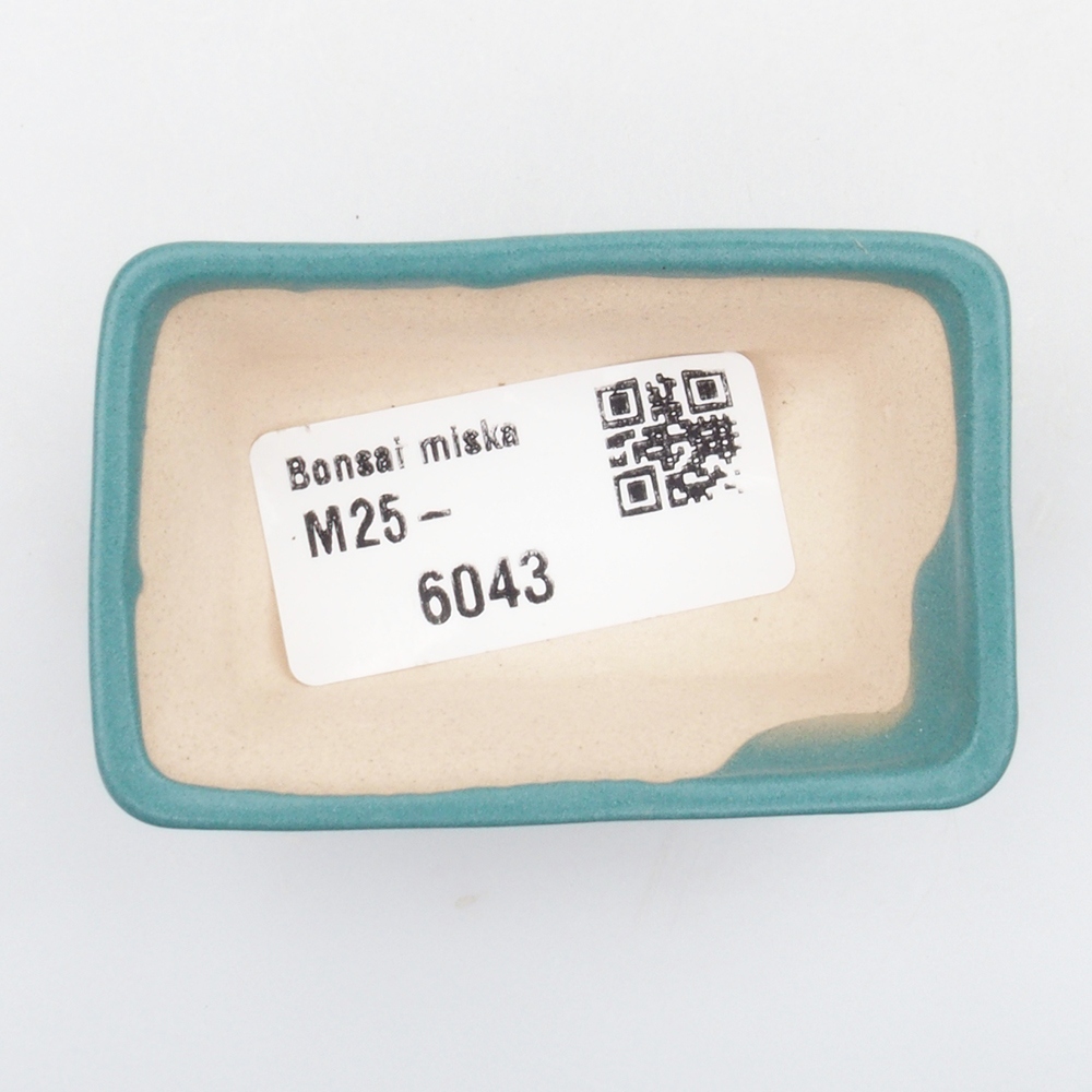 Cuenco bonsái de cerámica 6,5 x 5,5 x 4 cm, color azul