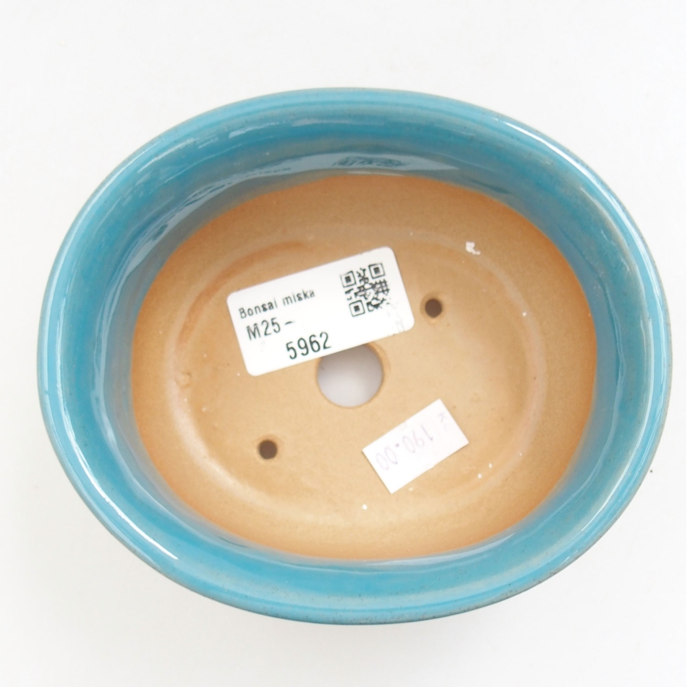 Cuenco bonsái de cerámica 22 x 17 x 5 cm, verde