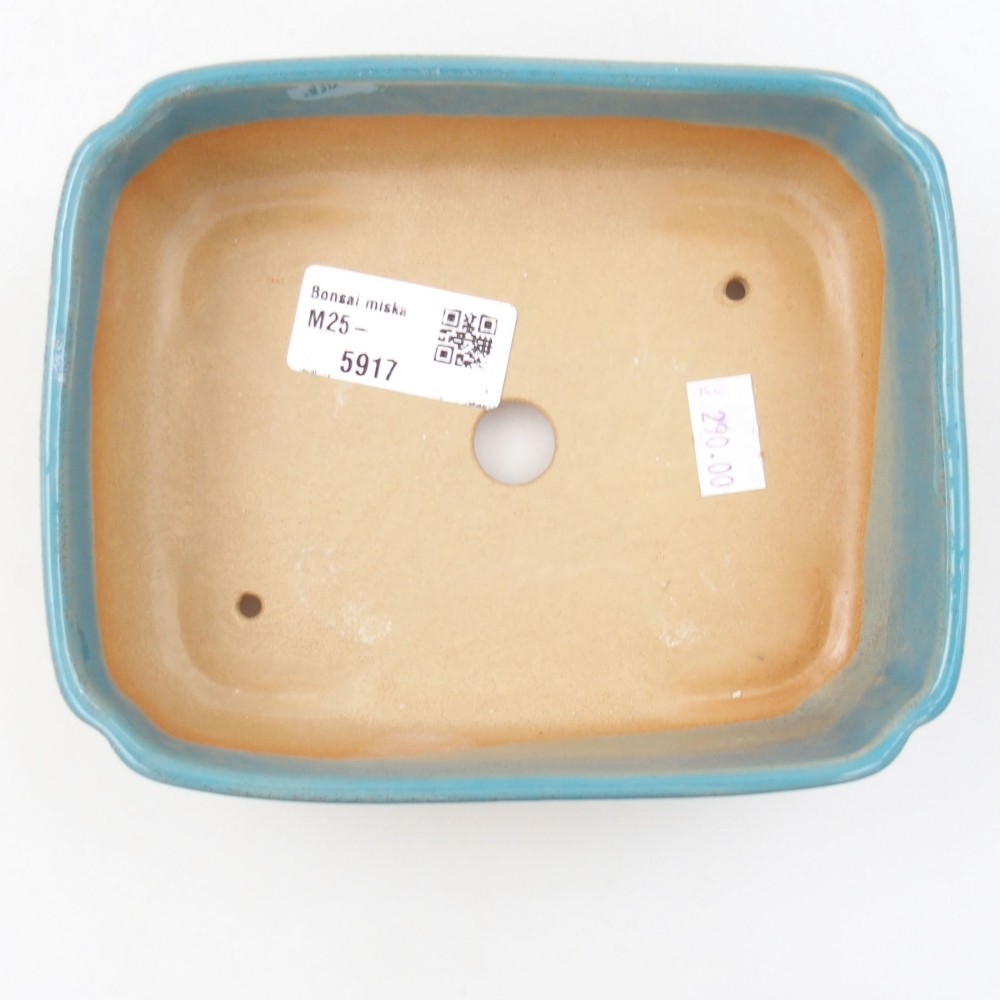 Cuenco bonsái de cerámica 22 x 17 x 5 cm, verde