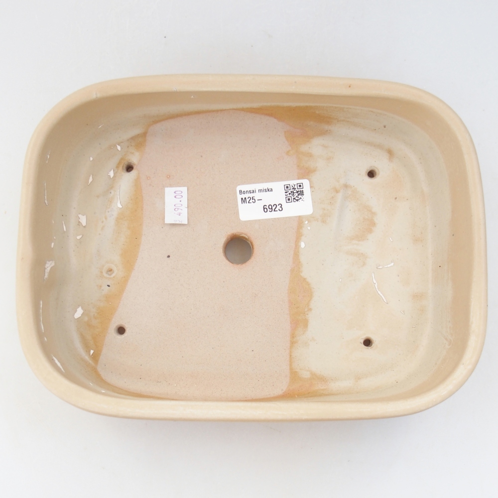 Cuenco bonsái de cerámica 22,5 x 17,5 x 5,5 cm, color beige