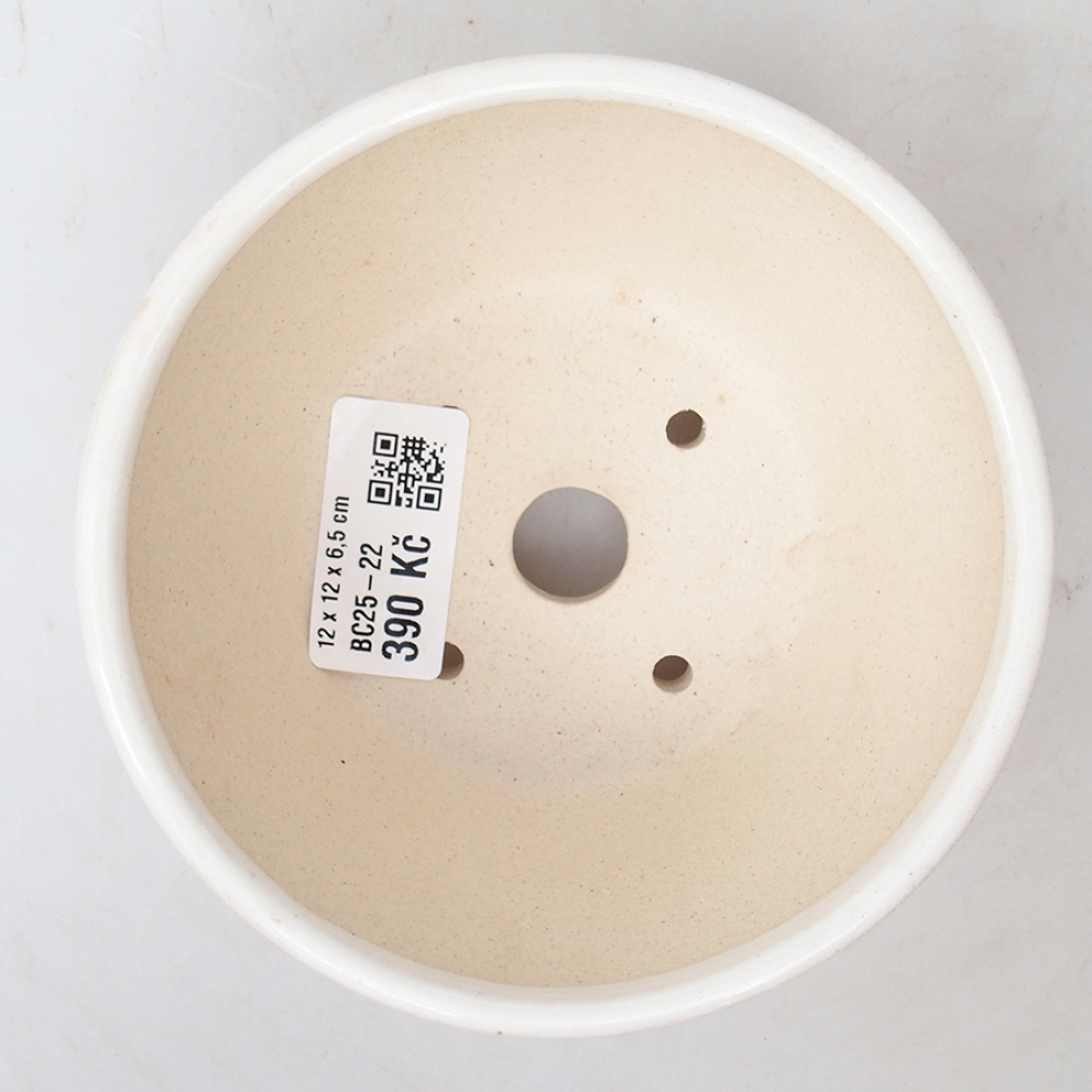 Cuenco bonsái de cerámica 12 x 12 x 6,5 cm, color blanco