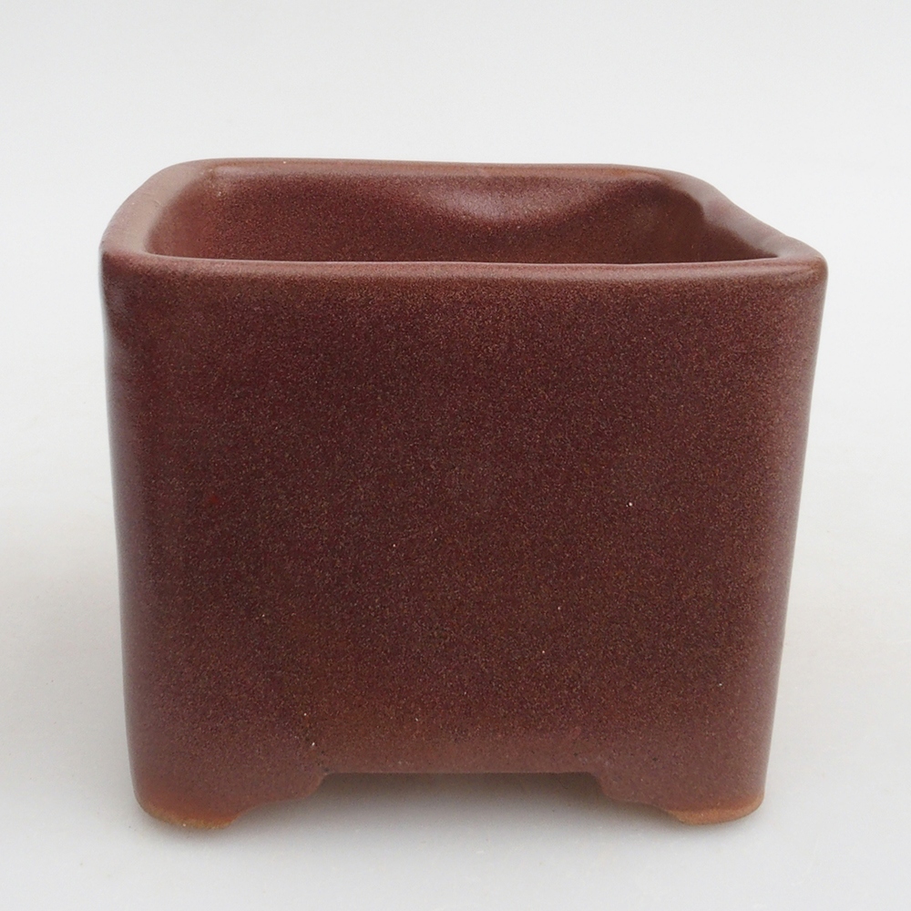 Cuenco bonsái de cerámica 10 x 10 x 8 cm, marrón