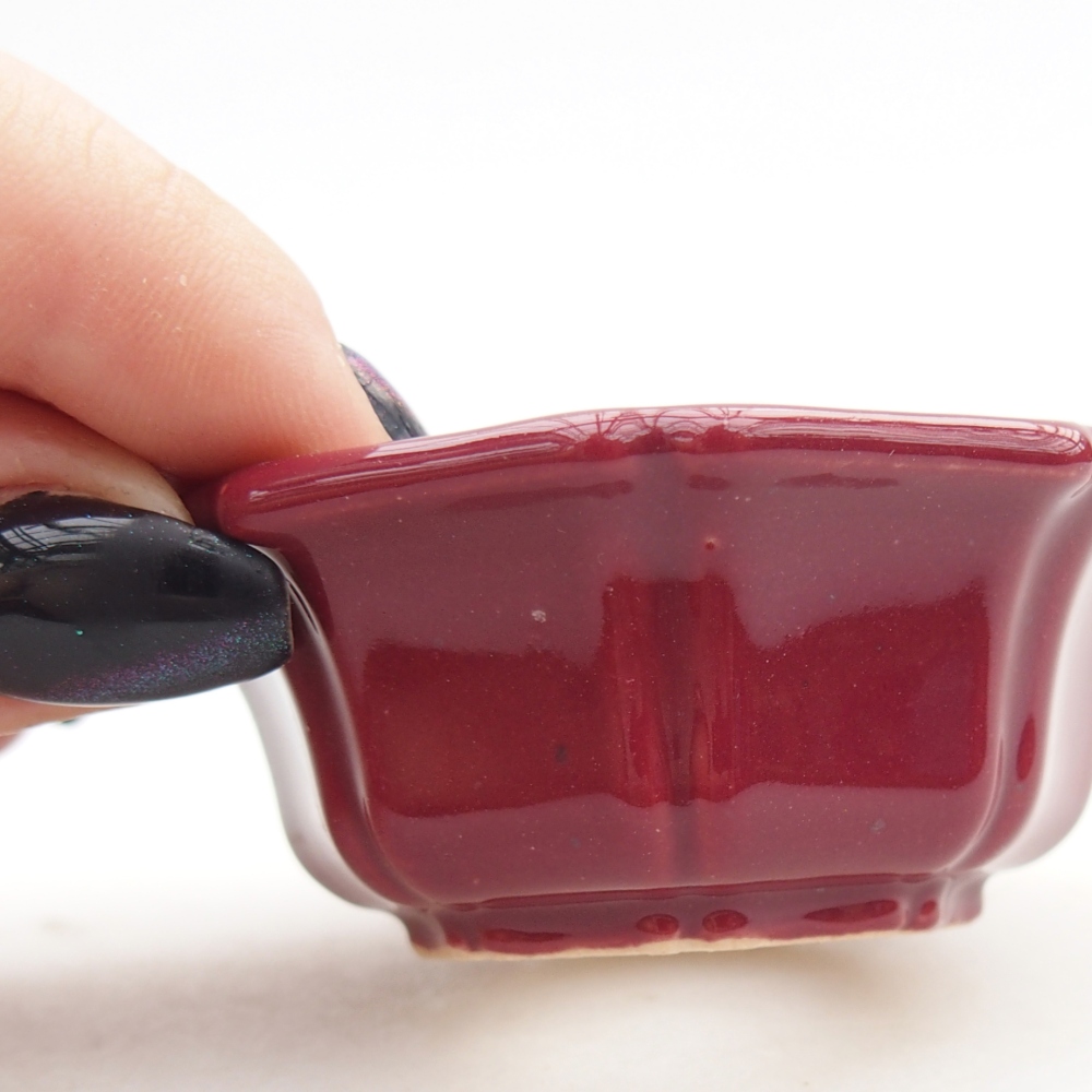 Cuenco mini bonsái 6 x 6 x 2,5 cm, burdeos