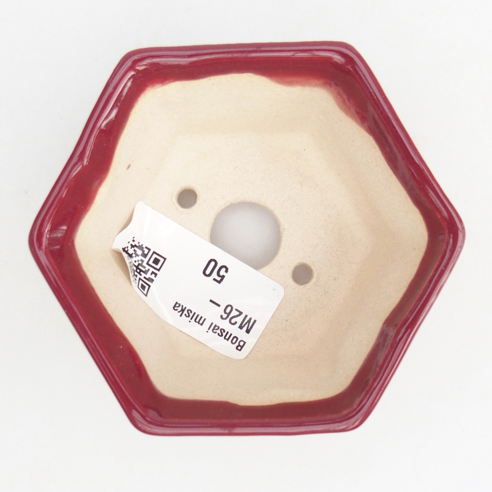 Mini cuenco bonsái 8 x 7 x 4 cm, burdeos