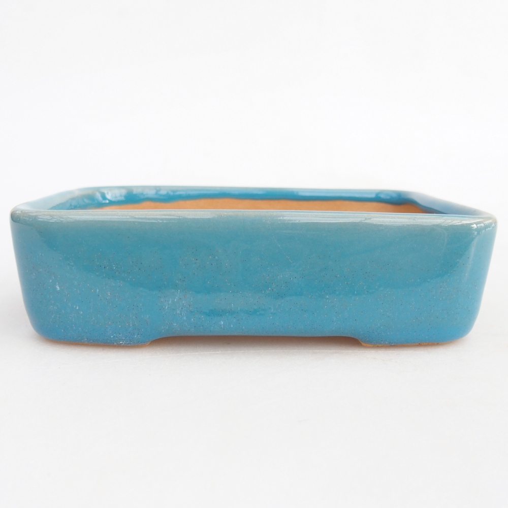 Cuenco bonsái de cerámica 12,5 x 9,5 x 3,5 cm, color azul