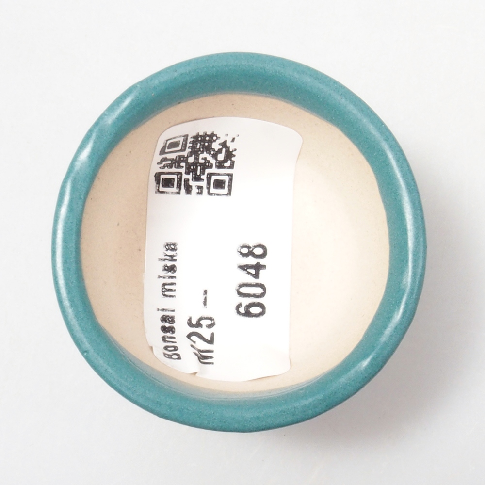 Cuenco bonsái de cerámica 6,5 x 5,5 x 4 cm, color azul