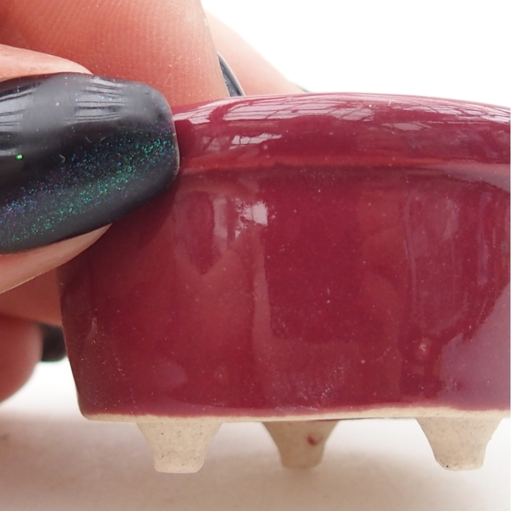 Cuenco mini bonsái 4 x 4 x 2 cm, burdeos