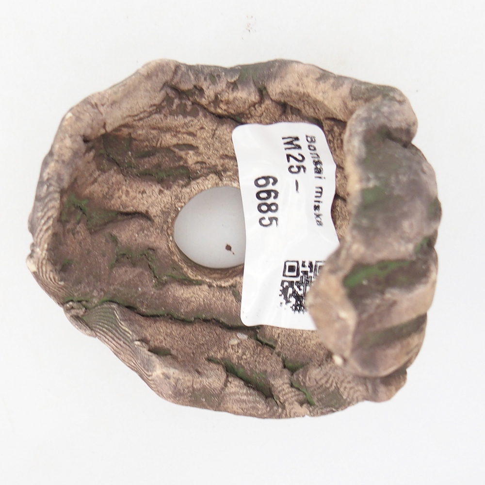 Concha de cerámica 6,5 x 6,5 x 8 cm , color verde