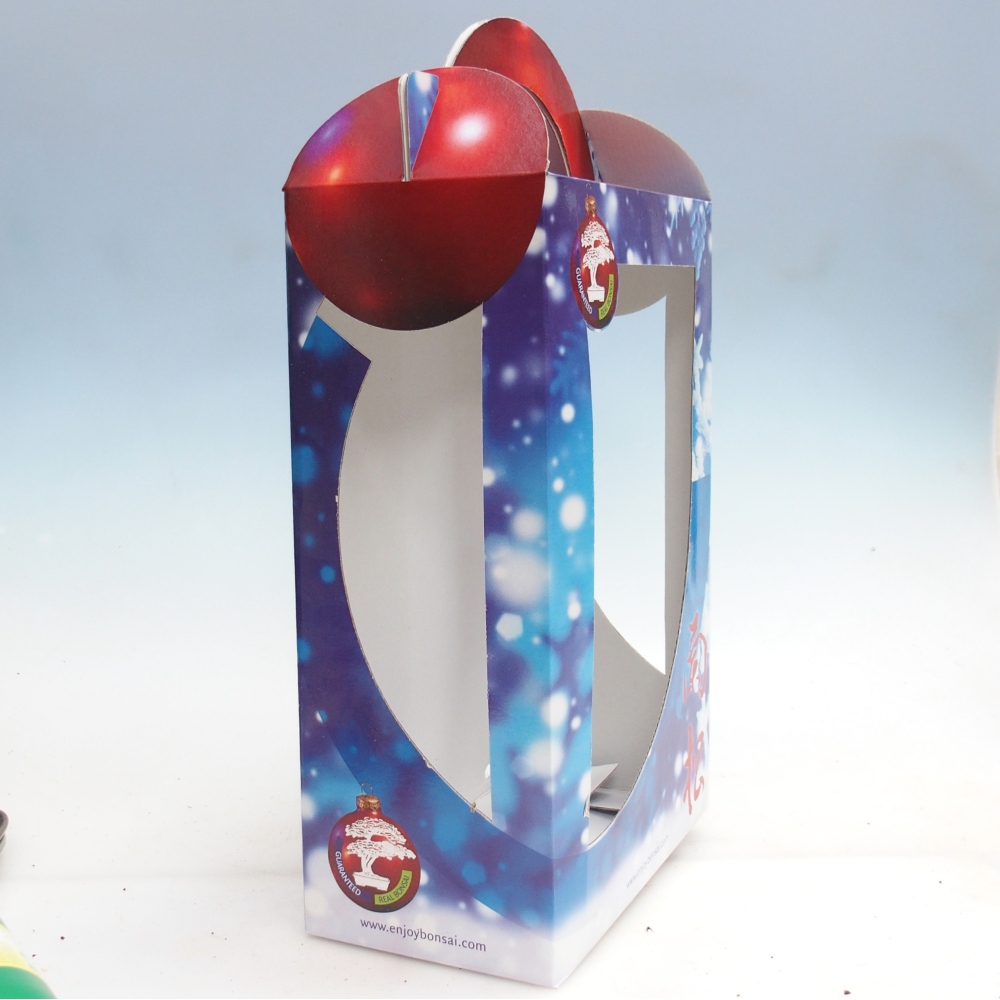 Caja regalo bonsái - papel