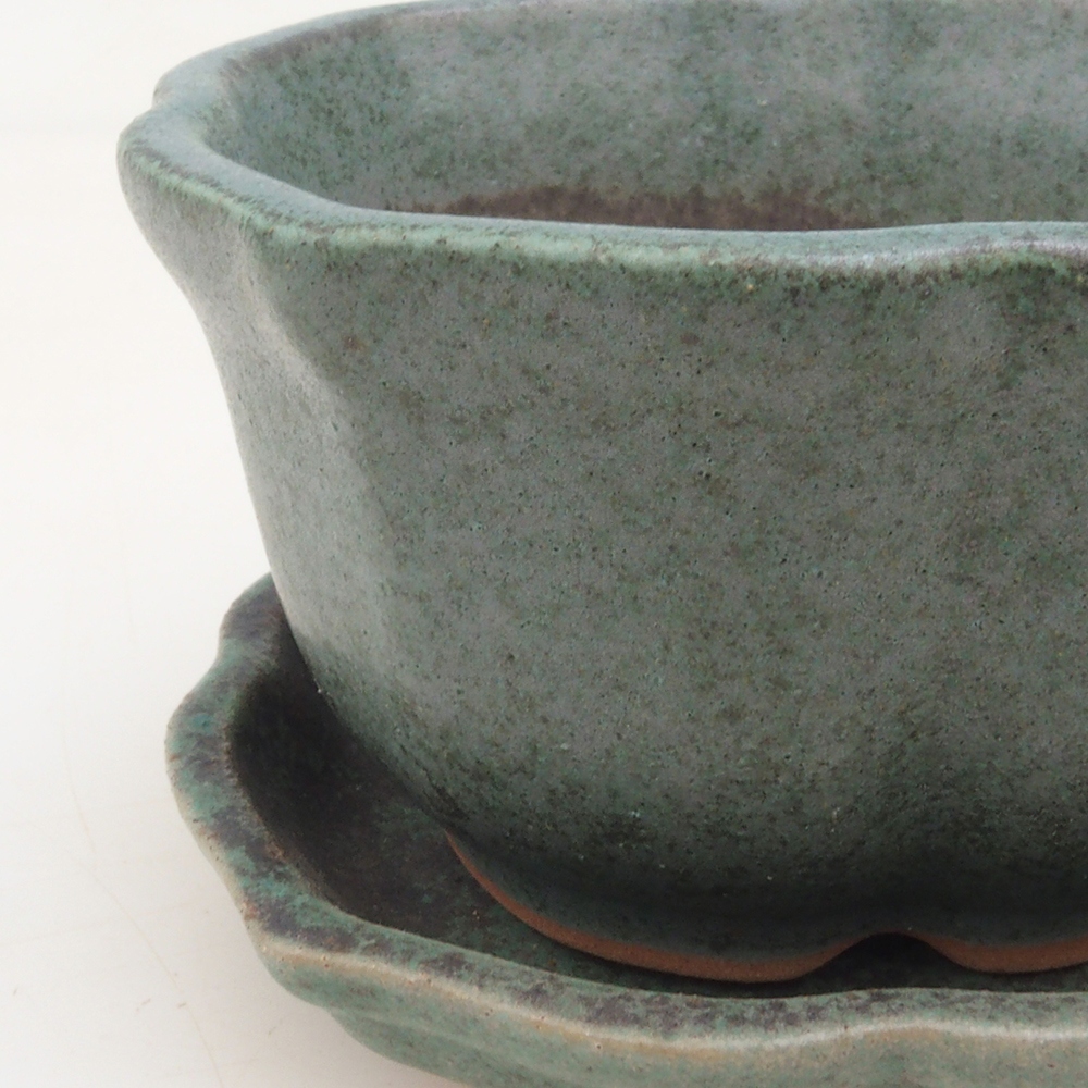 Bonsai cuenco + platillo H95 - verde