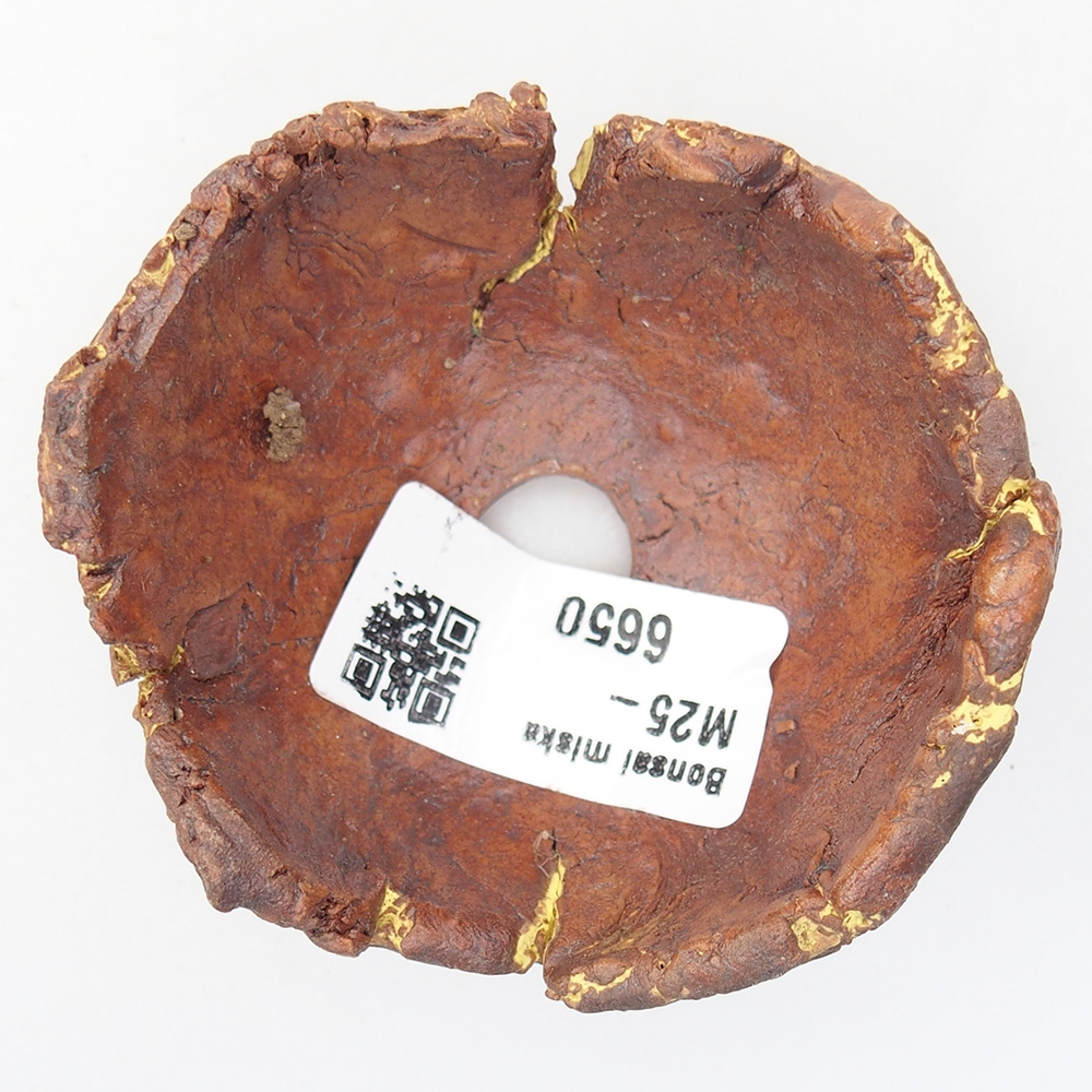 Concha de cerámica 7 x 6,5 x 4 cm , color amarillo