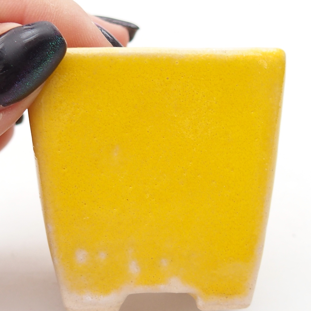 Cuenco mini bonsái 5 x 5 x 5 cm, amarillo