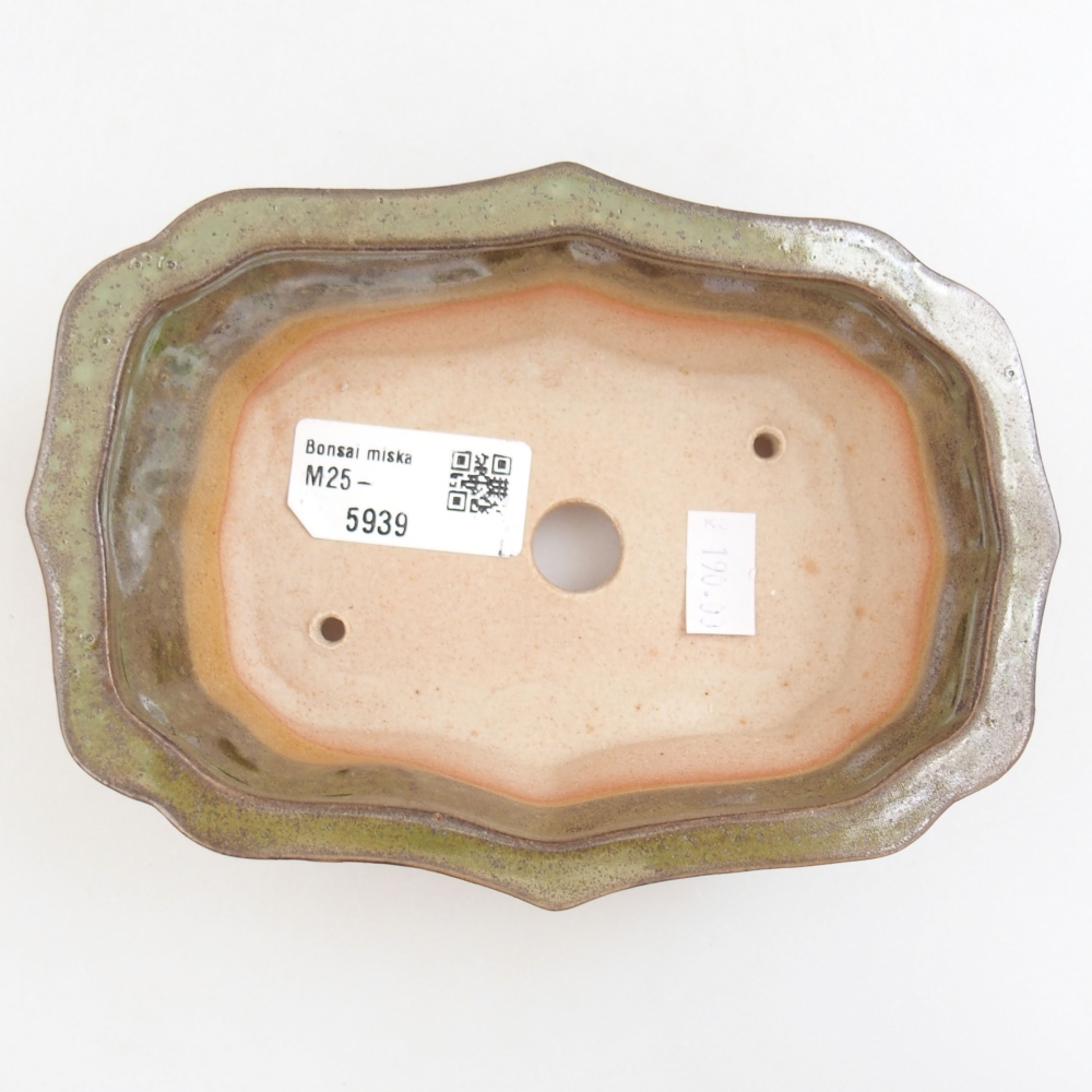 Cuenco bonsái de cerámica 22 x 17 x 5 cm, verde