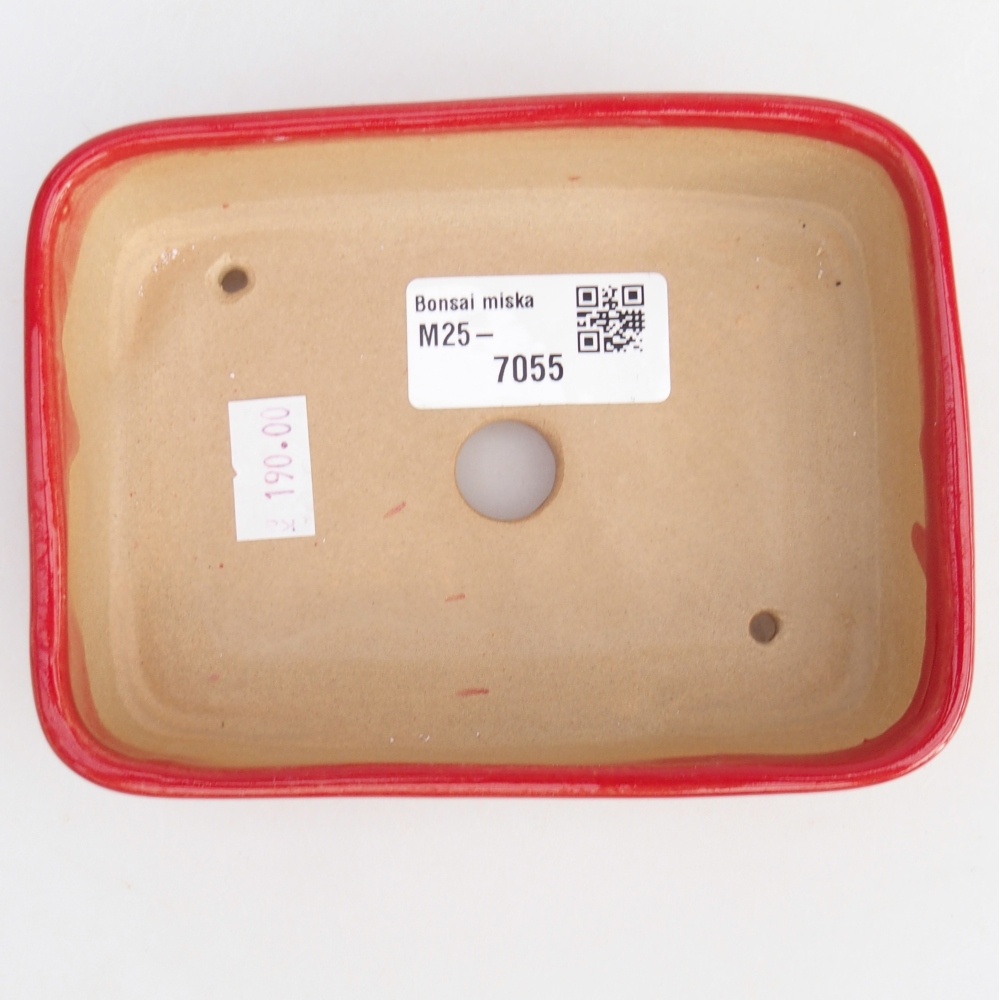 Cuenco bonsái de cerámica 12,5 x 9,5 x 3,5 cm, color rojo