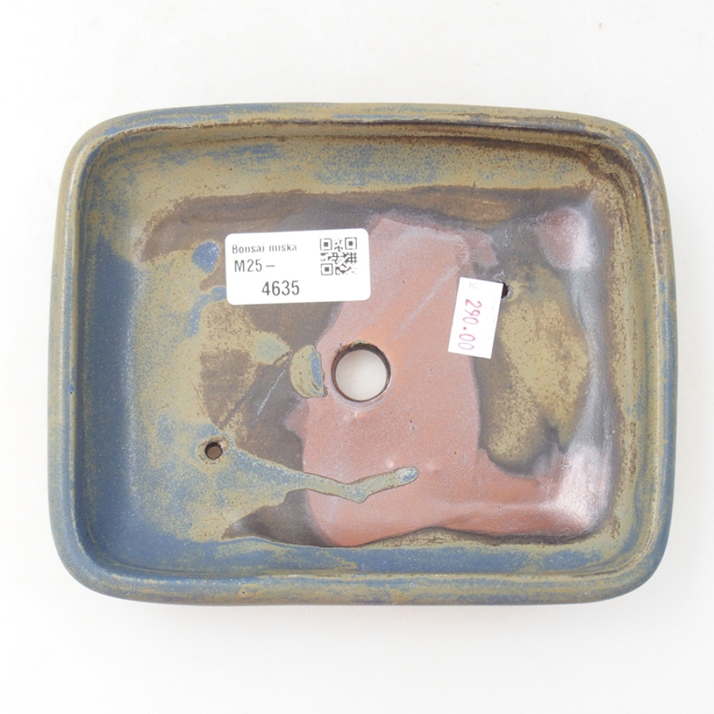 Cuenco bonsái de cerámica 17 x 13,5 x 3,5 cm, color azul