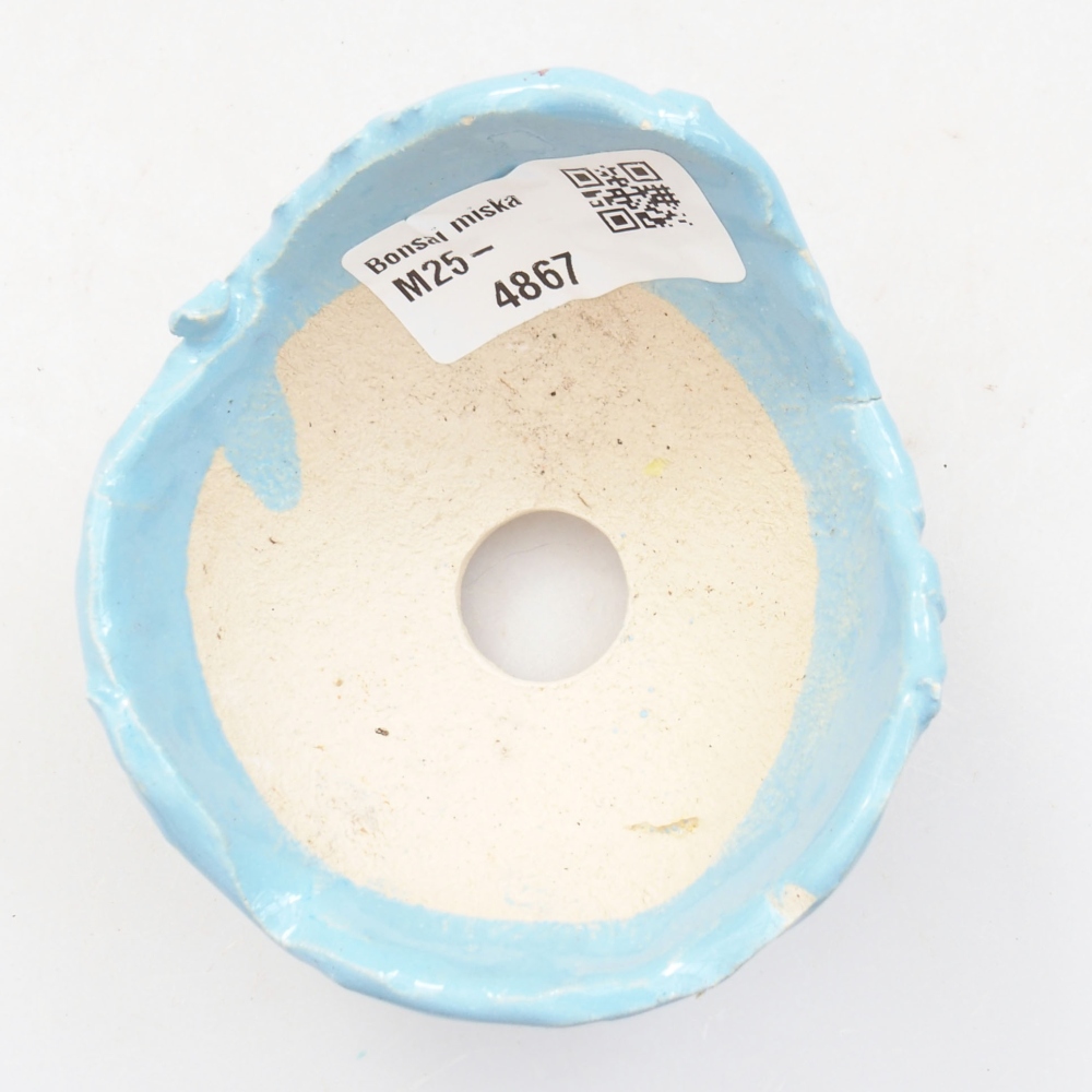 Concha de cerámica 7,5 x 7,5x 5 cm , color azul