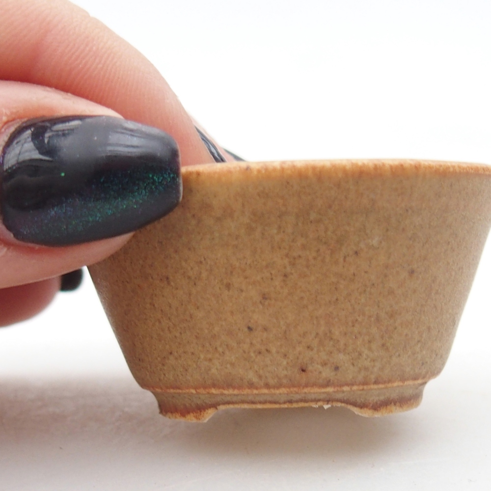 Cuenco mini bonsái 4,5 x 4,5 x 2,5 cm, marrón