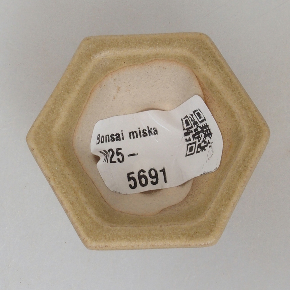 Cuenco mini bonsái 4,5 x 4,5 x 2,5 cm, marrón