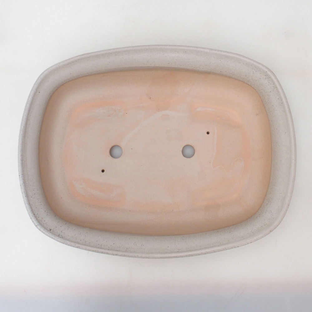 Cuenco bonsái H10 - 37 x 28 x 9 cm - beige