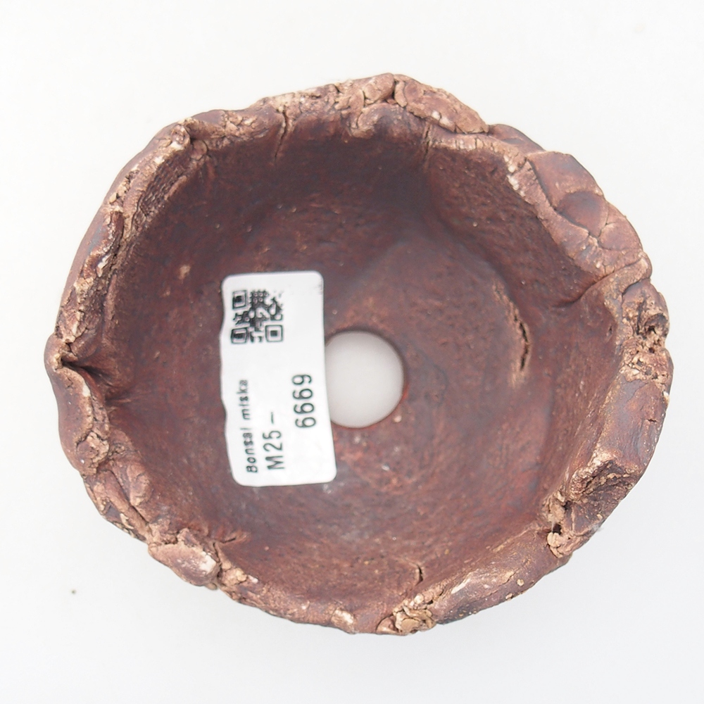 Concha de cerámica 9 x 9 x 6 cm , color marrón