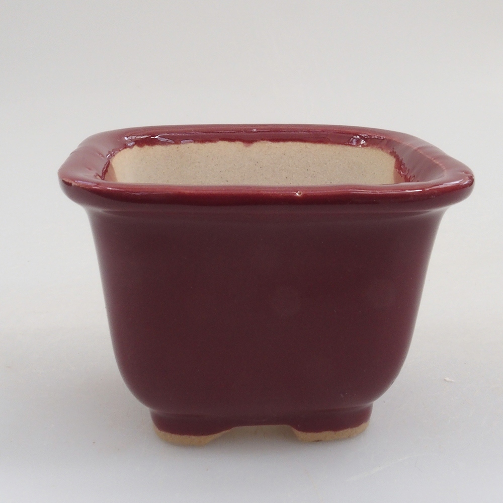 Cuenco mini bonsái 6 x 6 x 4,5 cm, burdeos
