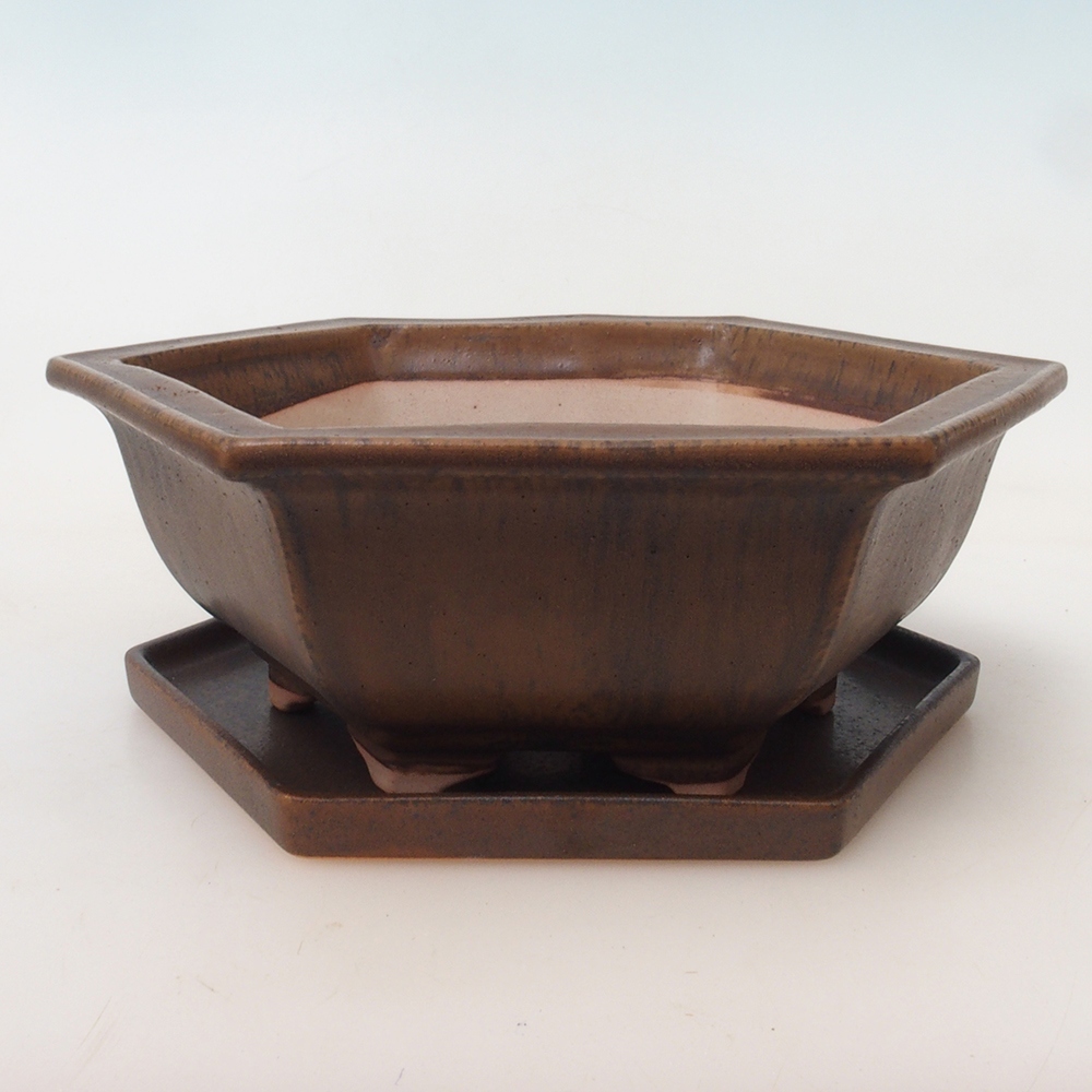 Cuenco bonsái + platillo H53 - 19 x 21,5 x 7 cm.