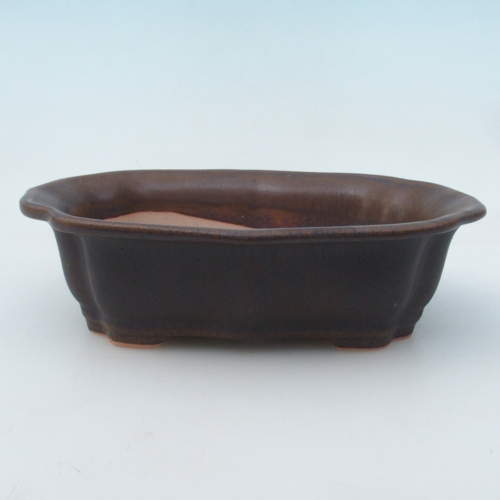 Cuenco bonsái + platillo H51 - 18x14x5 cm - marrón