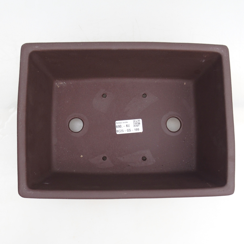 Cuenco bonsái de cerámica 27,5 x 20 x 11 cm, marrón